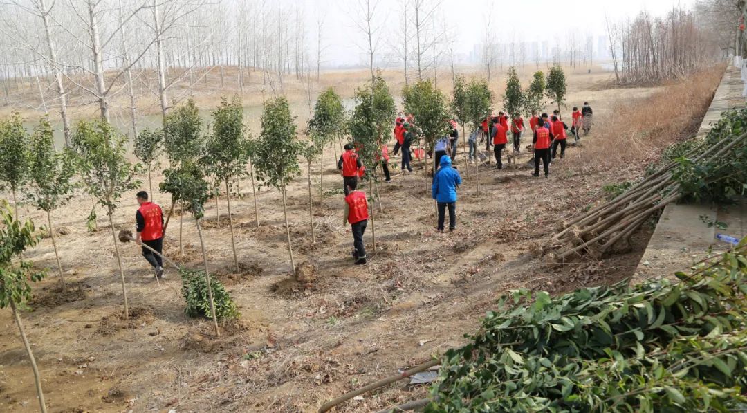 /gb2312/xianqugonghui/11837.html